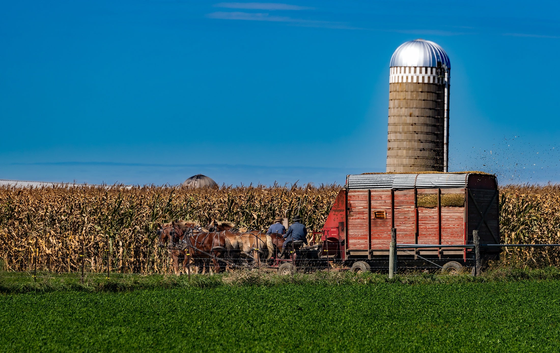 Amish Products